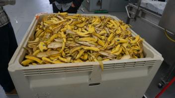 Banana Waste