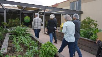 Urban Remedy visit