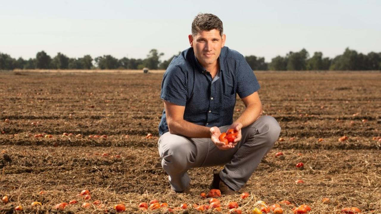 Assistant Professor Ned Spang holds pasting tomatoes that have been left in a field after mechanical harvest. Mechanical harvesting can reduce food waste and typically leaves only 1 to 2 percent of yield behind. Ned Spang holding pasting tomatoes left in a field after mechanical harvest.