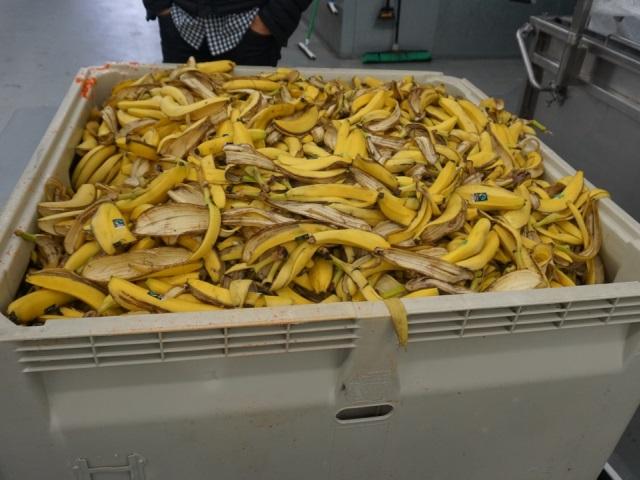 Banana Waste